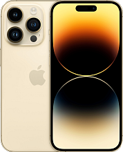 Смартфон Apple iPhone 14 Pro Max 1TB Dual Sim, золотой